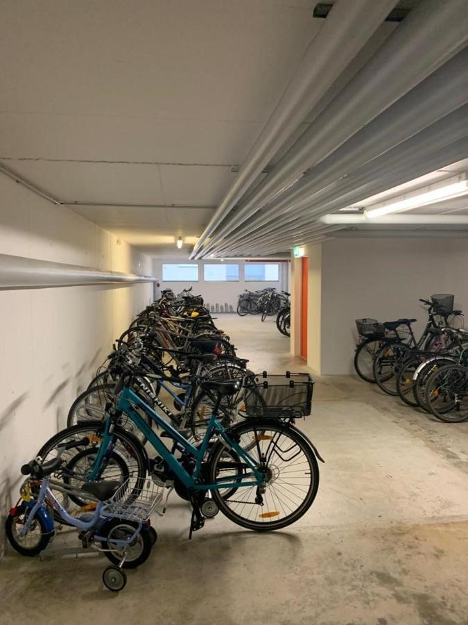 Ferienwohnung Lilly FDH Zewnętrze zdjęcie